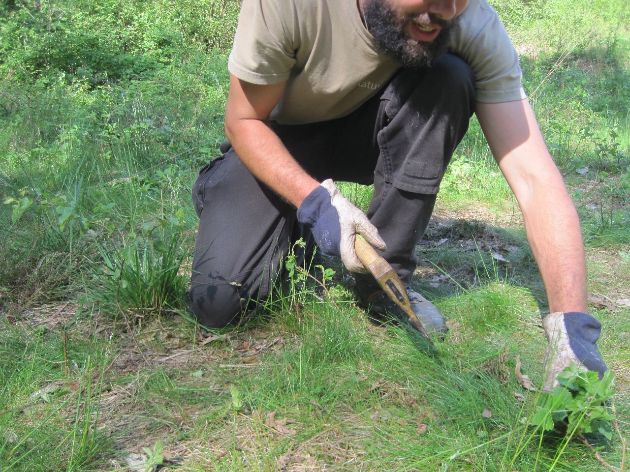 Werken in het Griesbroek samen met de mensen van Natuurpunt